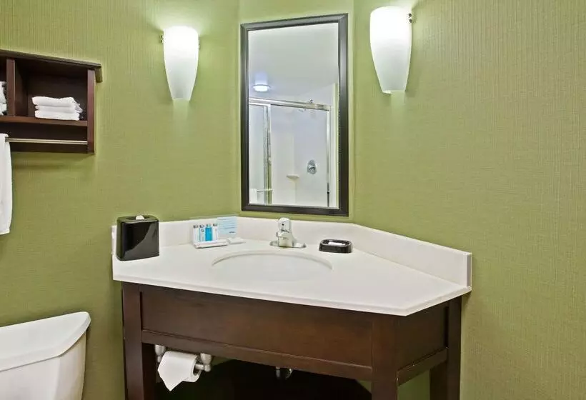 هتل Hampton Inn Knoxvilleairport