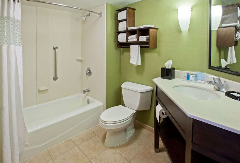 호텔 Hampton Inn Knoxvilleairport