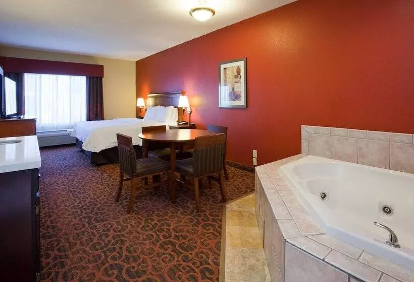 ホテル Hampton Inn Minneapolis Nw Maple Grove