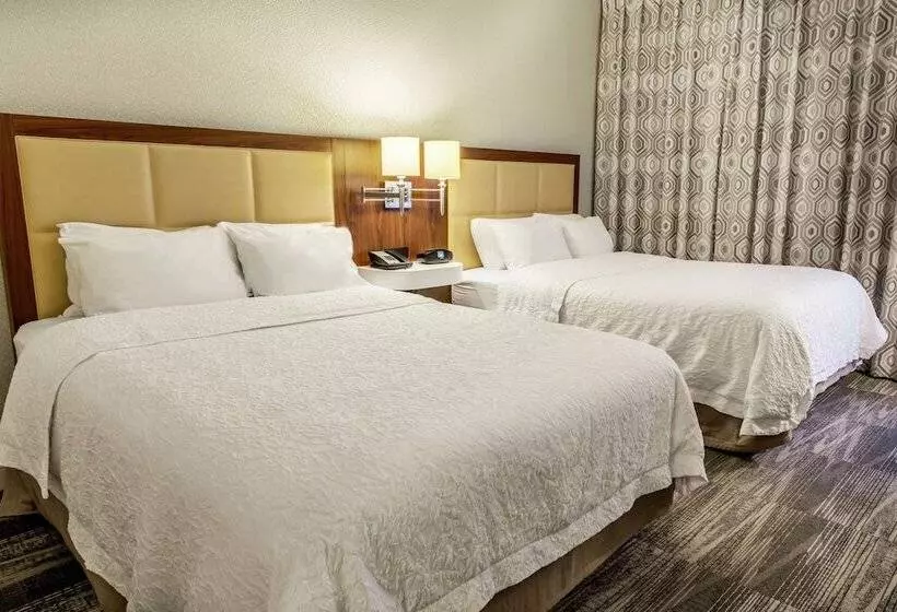 ホテル Hampton Inn Minneapolis/st. Paulwoodbury