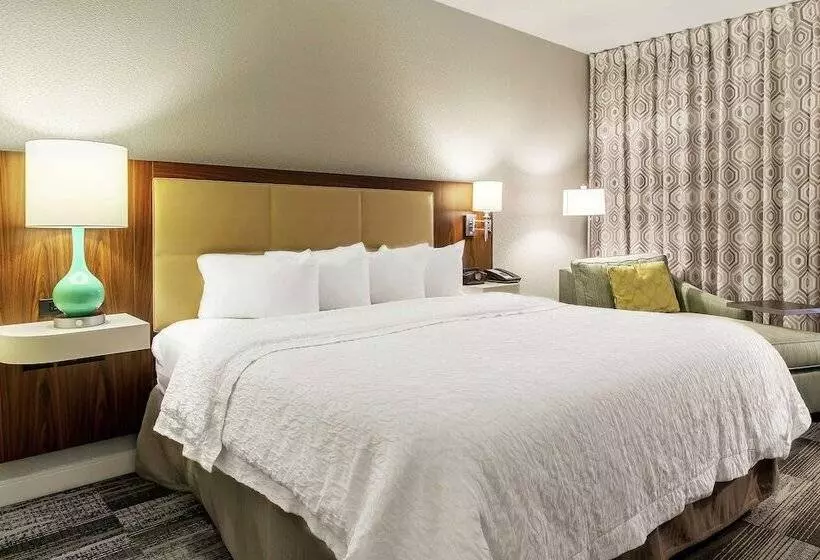 ホテル Hampton Inn Minneapolis/st. Paulwoodbury