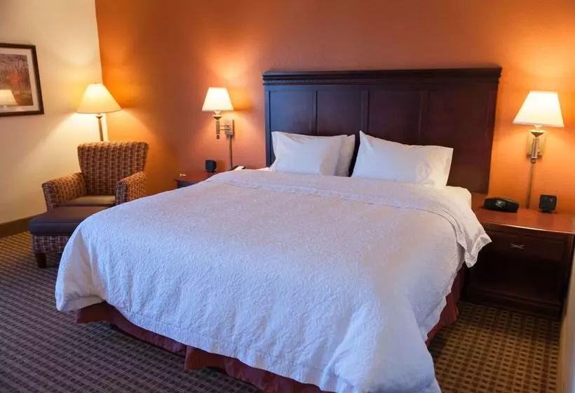 酒店 Hampton Inn North Platte