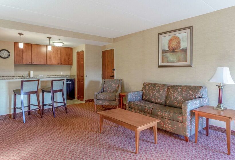 هتل Hampton Inn Peoriaeast At The River Boat Crossing