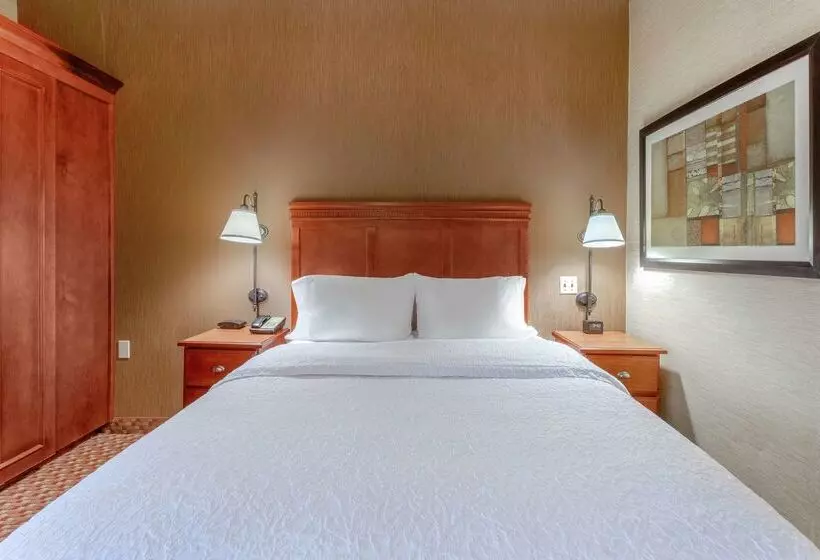 Отель Hampton Inn Peoriaeast At The River Boat Crossing
