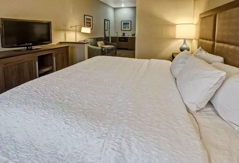 Отель Hampton Inn Salt Lake City/layton