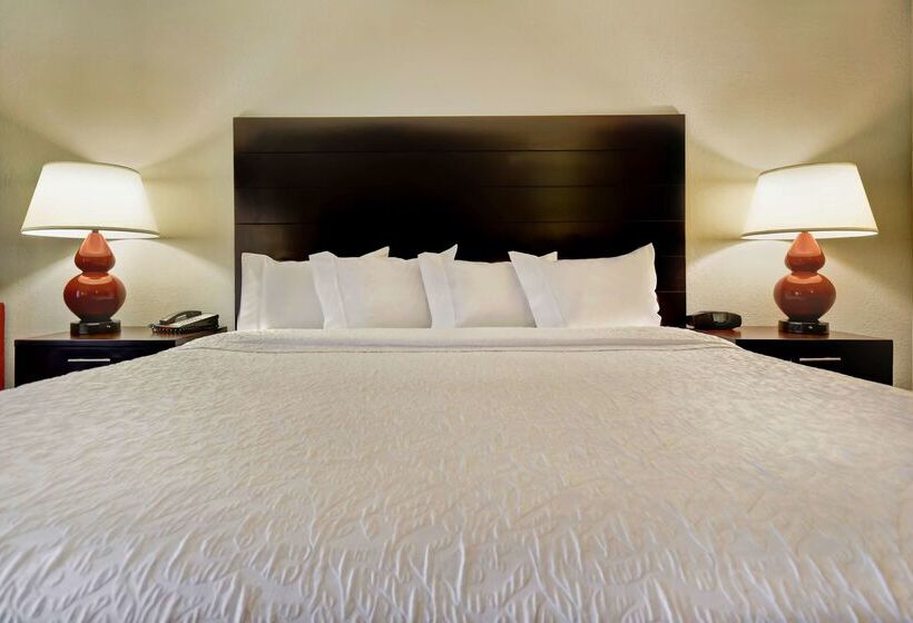 בית מלון כפרי Hampton Inn Starkville