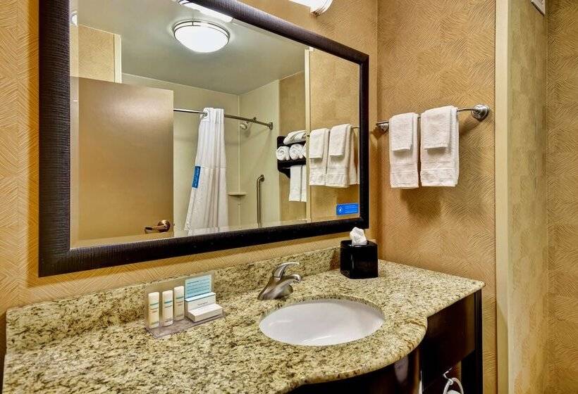 בית מלון כפרי Hampton Inn Starkville