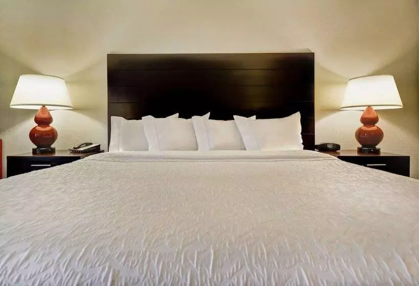 酒店 Hampton Inn Starkville