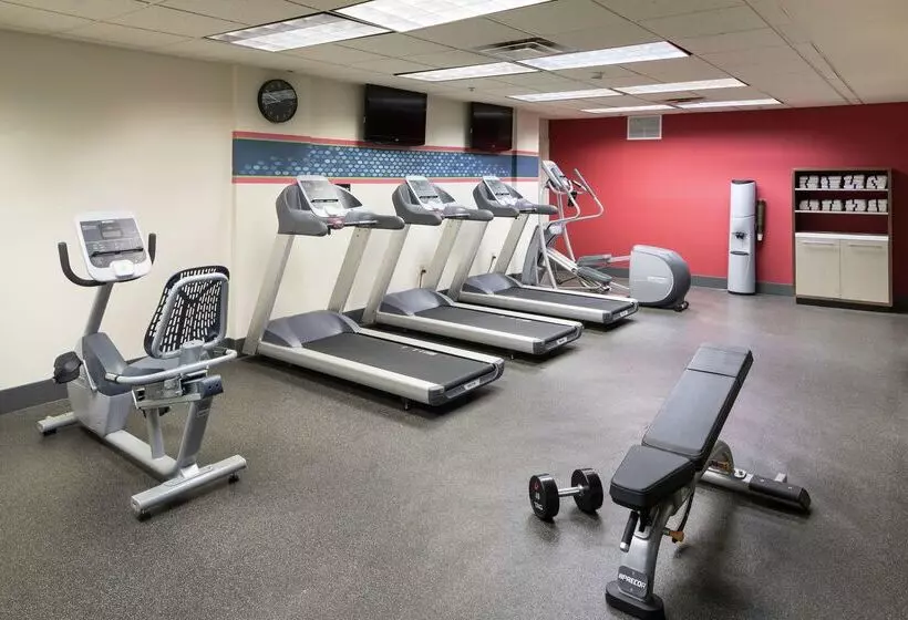 فندق Hampton Inn & Suites Atlantadowntown