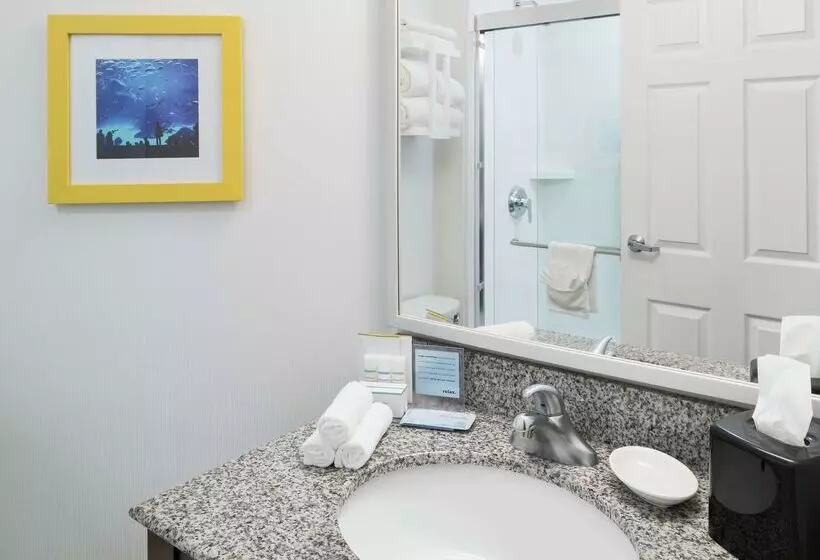 فندق Hampton Inn & Suites Atlantadowntown