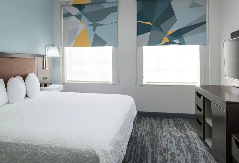 فندق Hampton Inn & Suites Atlantadowntown