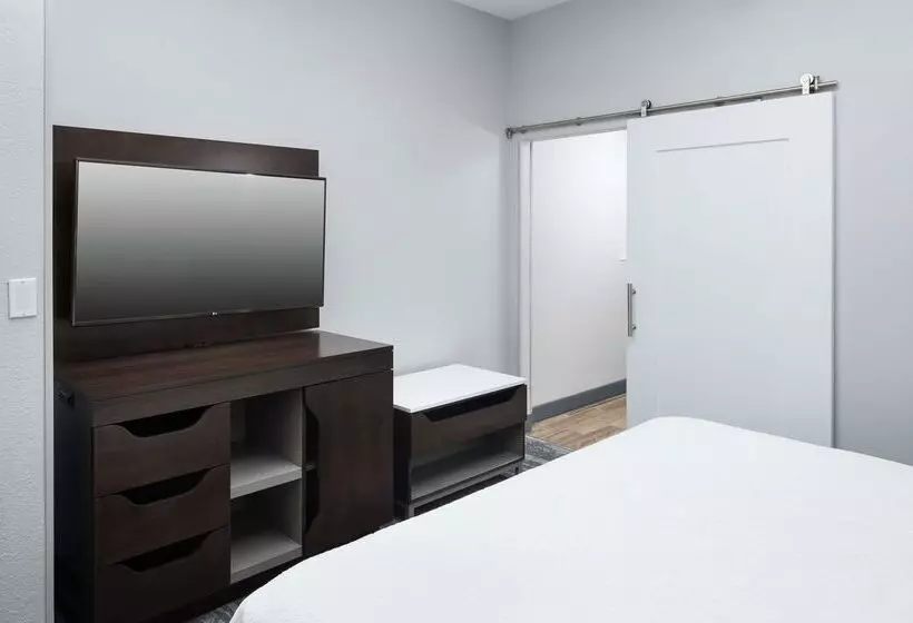 فندق Hampton Inn & Suites Atlantadowntown