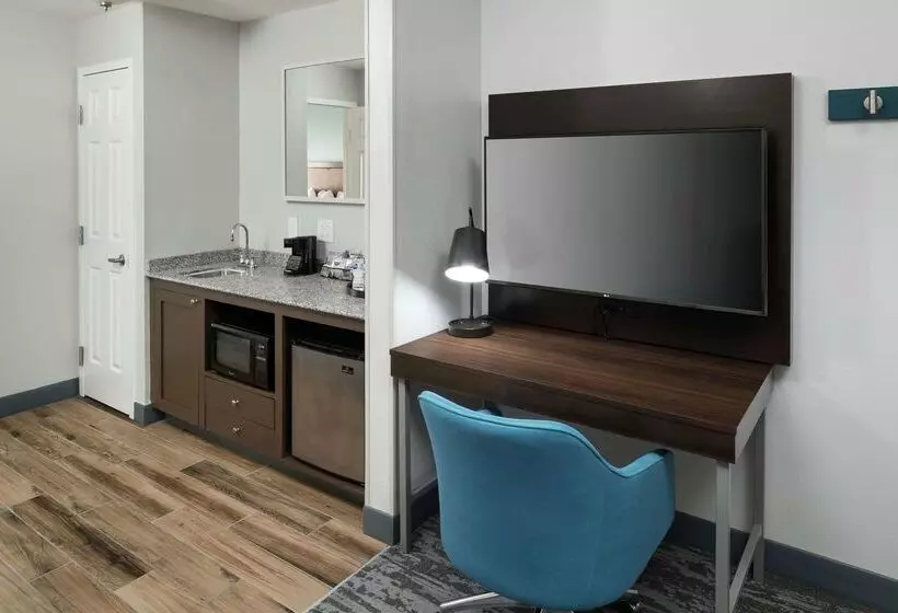 فندق Hampton Inn & Suites Atlantadowntown