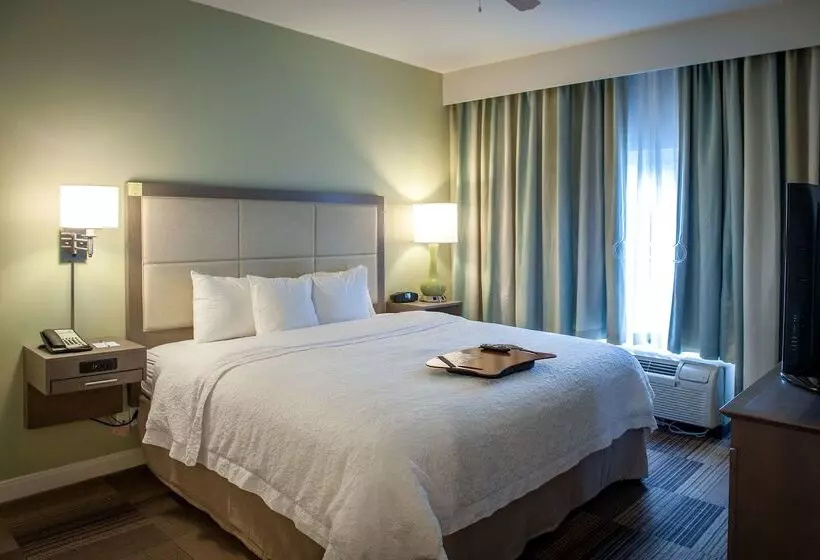 ホテル Hampton Inn & Suites New Orleans Elmwood/clearview Pkway, La