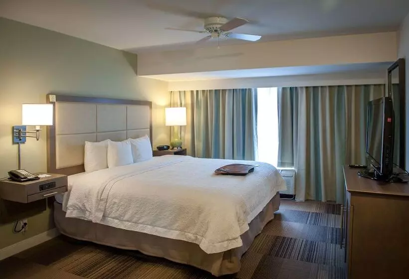 ホテル Hampton Inn & Suites New Orleans Elmwood/clearview Pkway, La