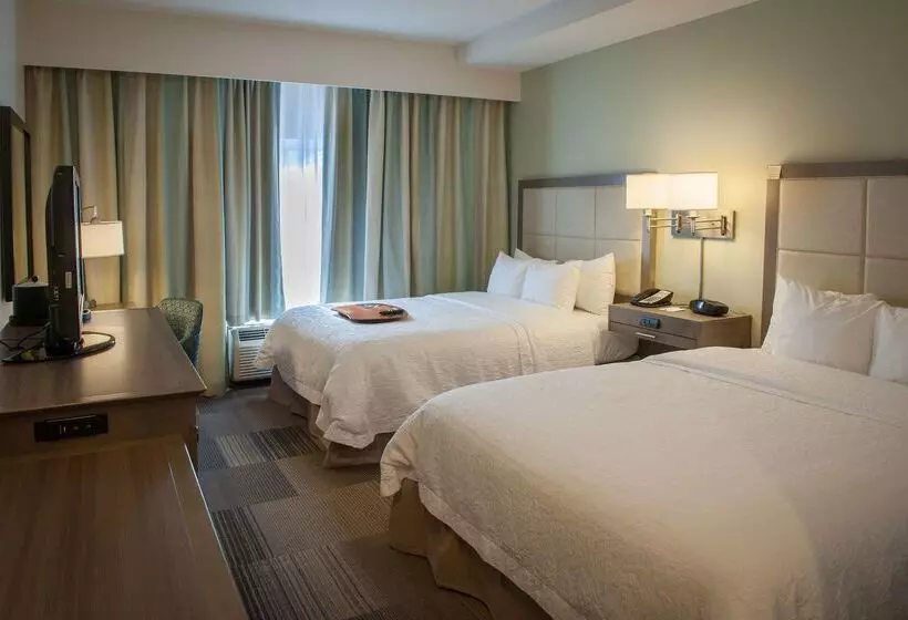 ホテル Hampton Inn & Suites New Orleans Elmwood/clearview Pkway, La