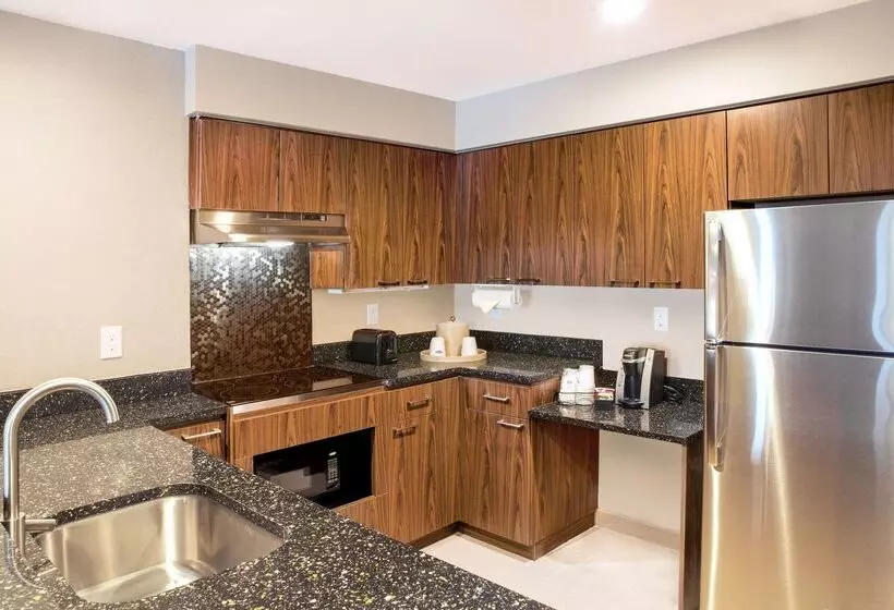 酒店 Hampton Inn & Suites Seattledowntown