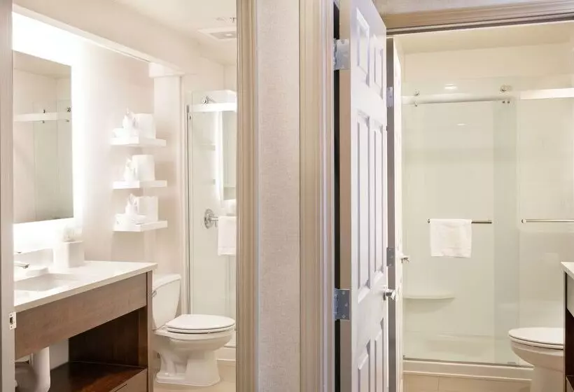 酒店 Hampton Inn & Suites Seattledowntown