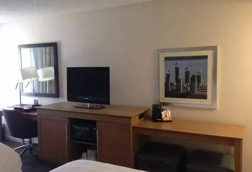 فندق Hampton Inn Tampa/rocky Pointairport