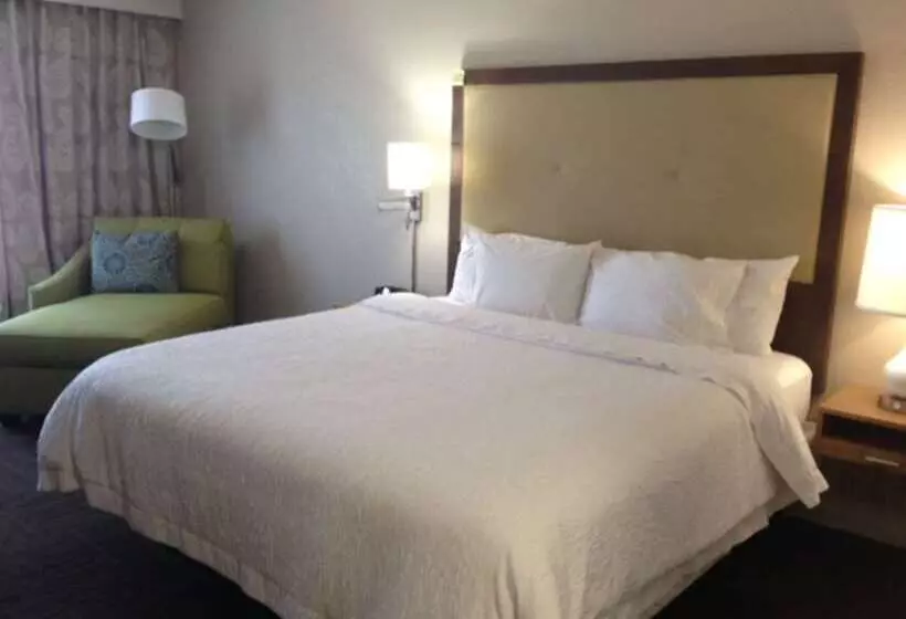 فندق Hampton Inn Tampa/rocky Pointairport