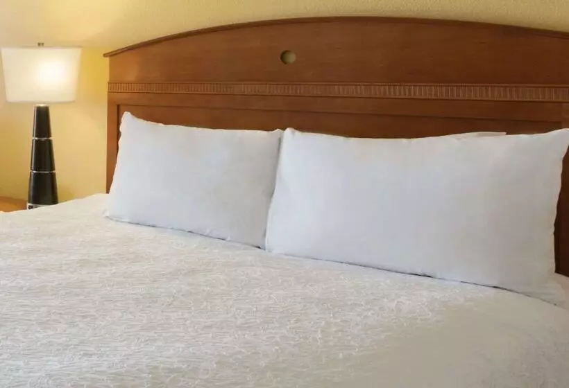 فندق Hampton Inn Youngstown/boardman