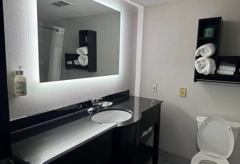 هتل Wingate By Wyndham North Little Rock