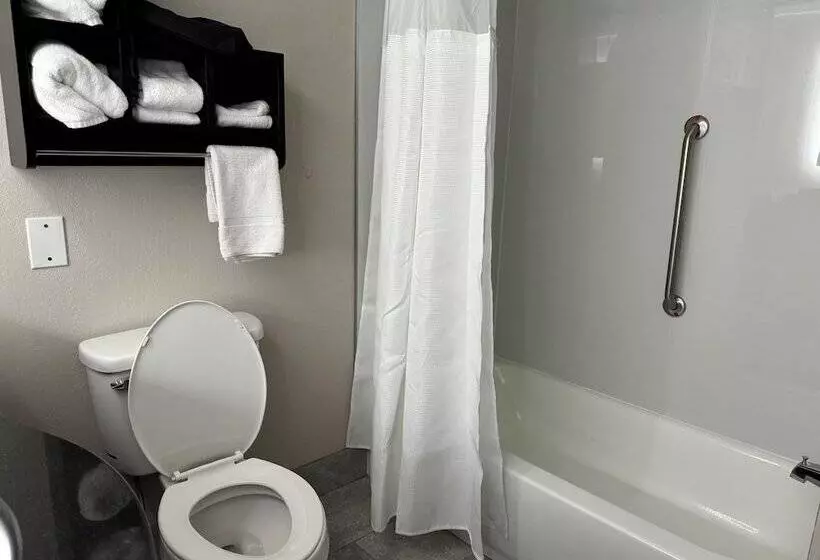 هتل Wingate By Wyndham North Little Rock