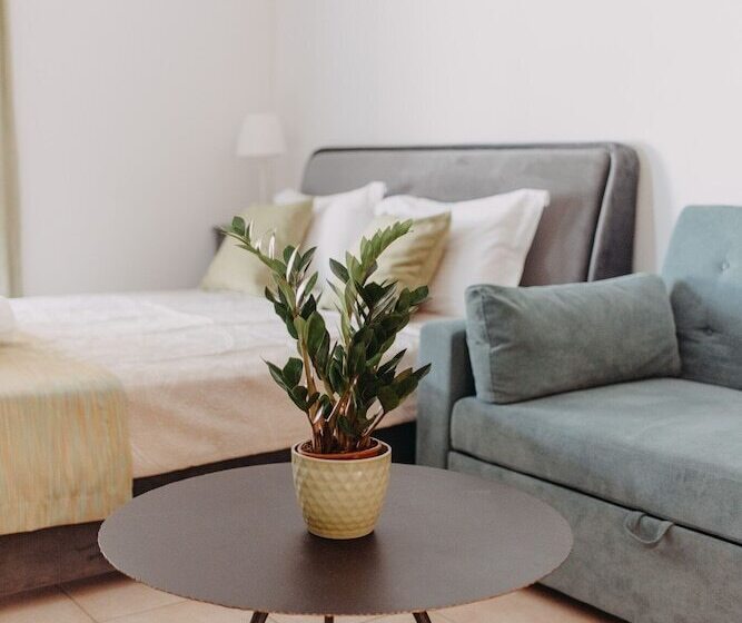 Best House, Nirvana Ii, Patra