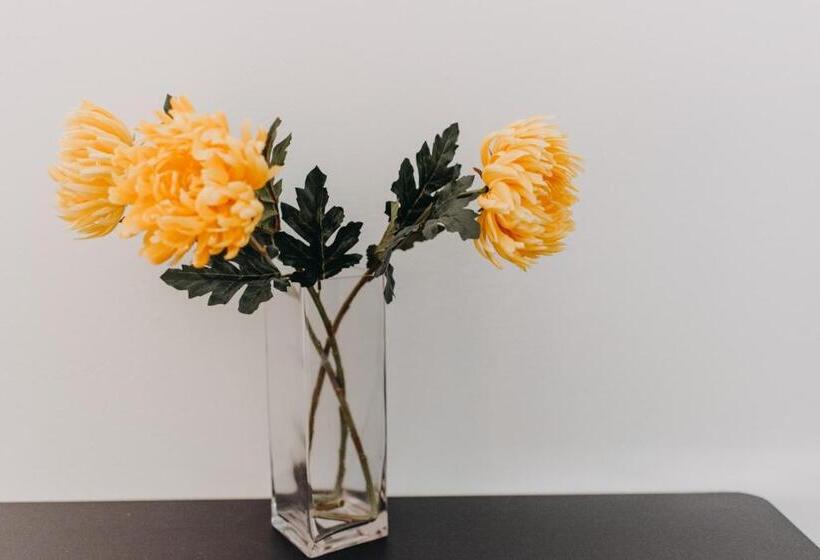 Best House, Nirvana Ii, Patra