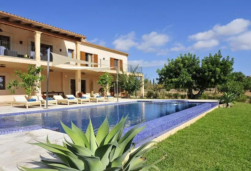 Finca Alou