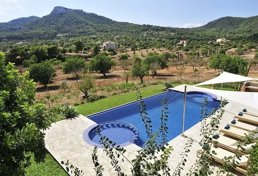 Finca Alou