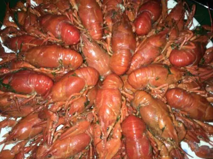 هتل Kashahi