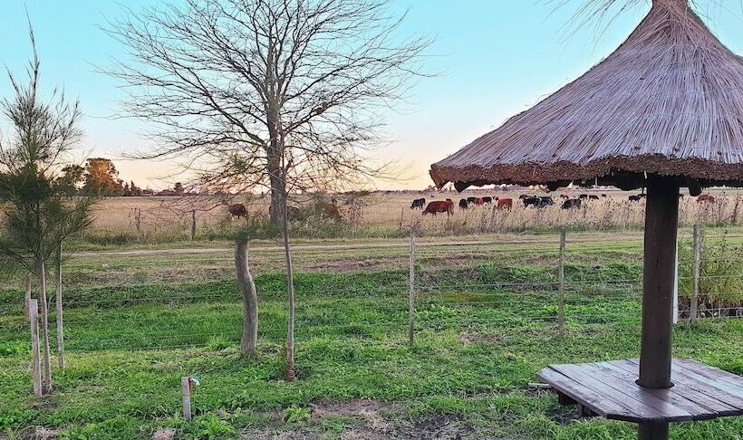 Hotel La Maína Uribe Posada