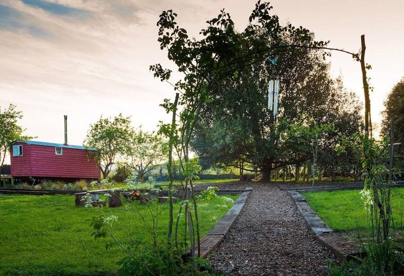 Samsara Retreat And Yoga   Adults Only