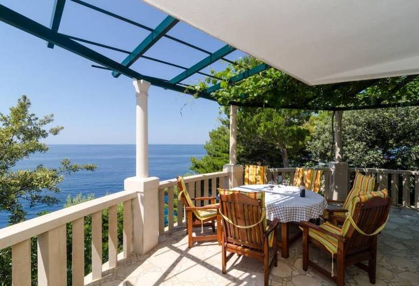 Apartments Plavac Mali