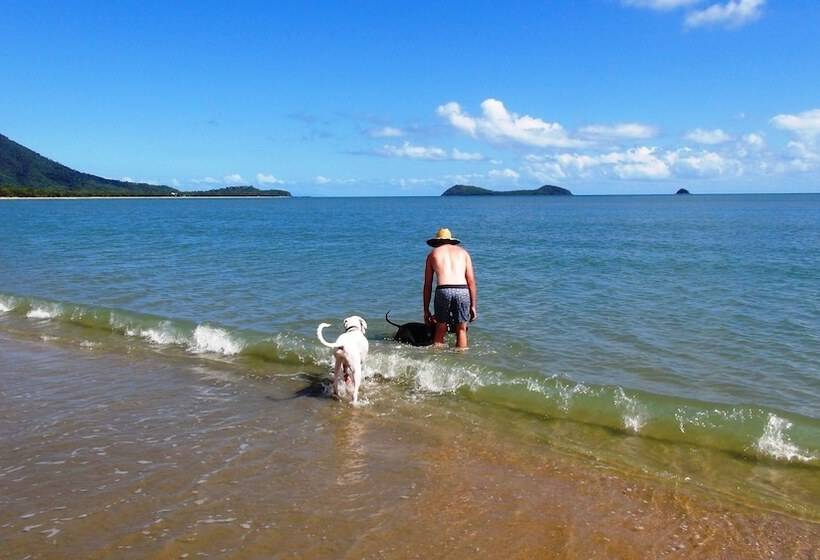 Beach Bliss Queen Bed Bbq Pool Netflix