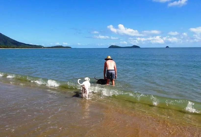 Beach Bliss Queen Bed Bbq Pool Netflix