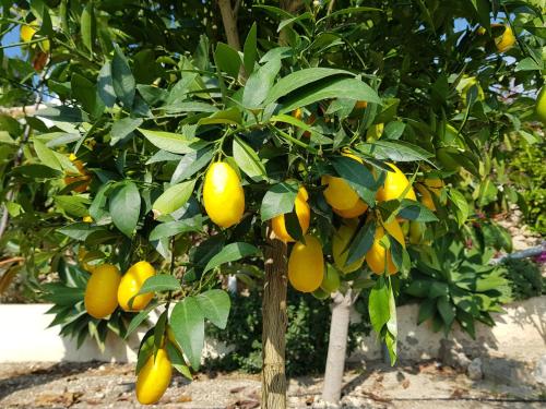 Lavinia Naturist Resort