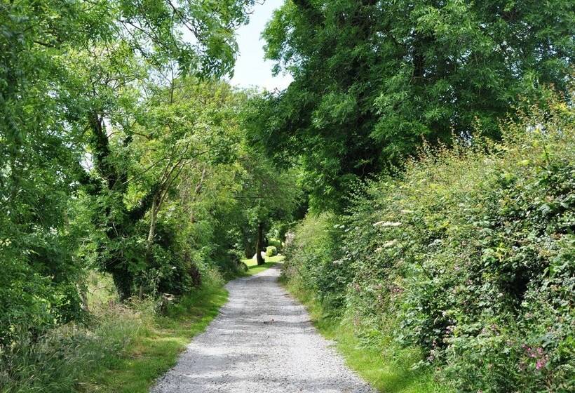 The Barn At Cae Bach