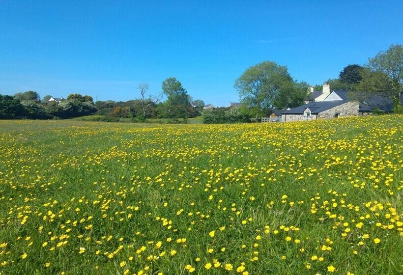 The Barn At Cae Bach
