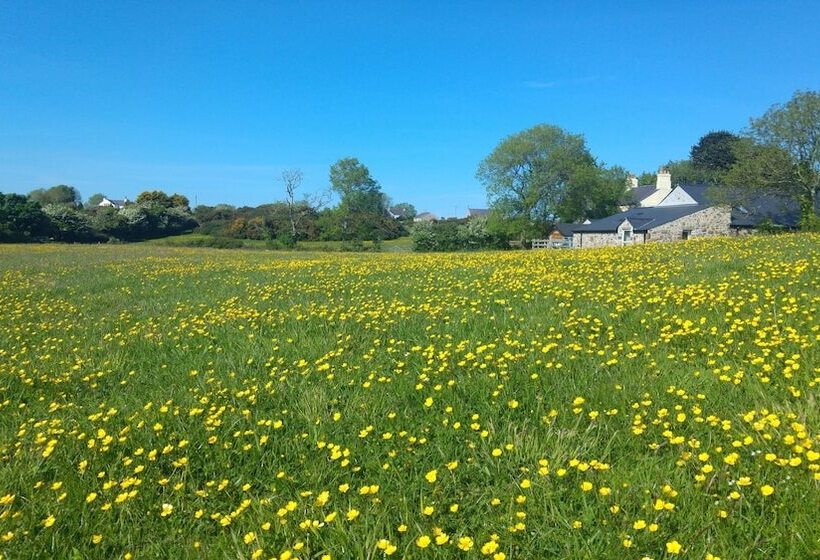 The Barn At Cae Bach