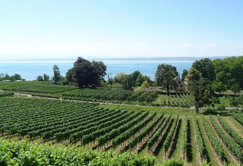 Bed & Breakfast Wohlfühlhaus Immenstaad