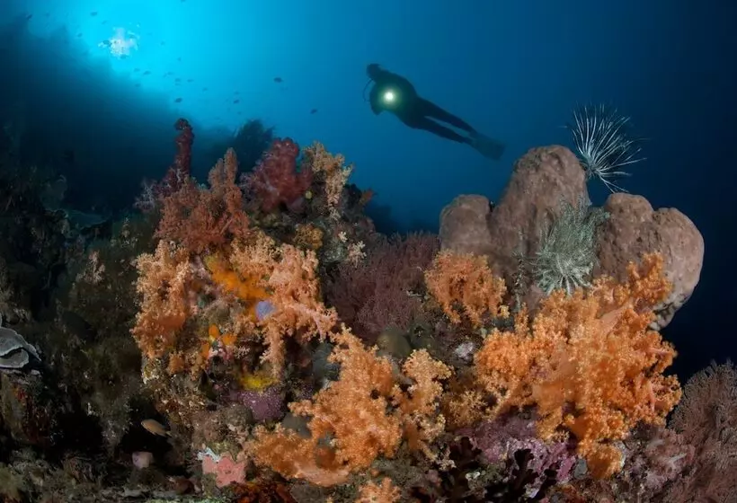 ホテル Murex Dive Resort