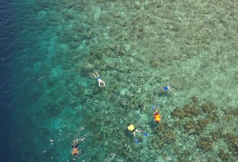 Szálloda Murex Dive Resort