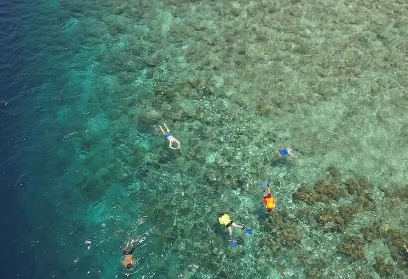 ホテル Murex Dive Resort