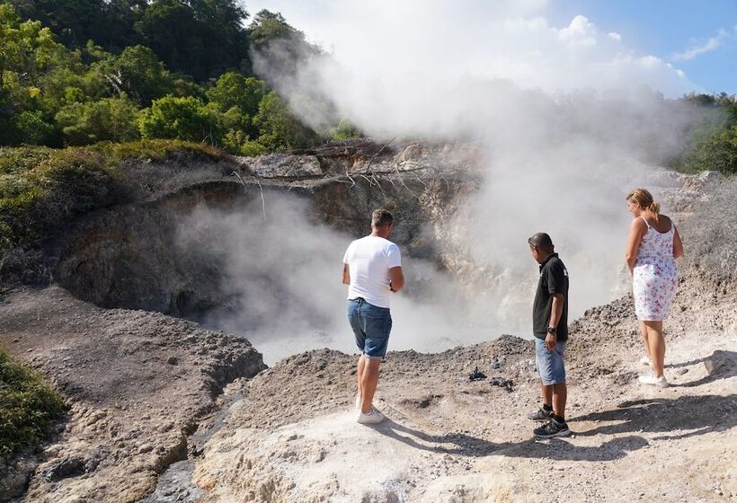 Szálloda Murex Dive Resort