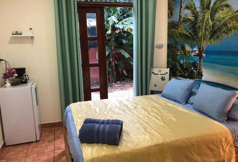 هاستل Toucan House