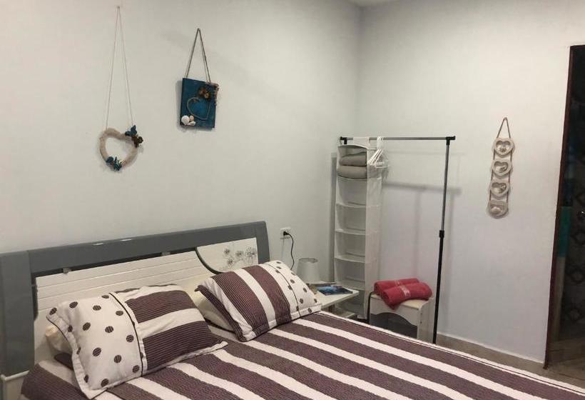 هاستل Toucan House