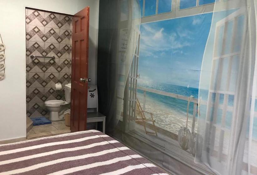 هاستل Toucan House