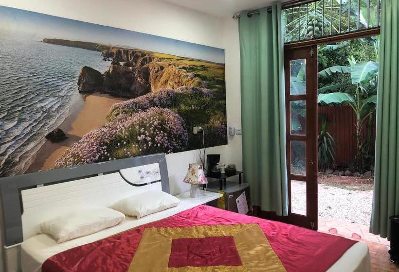 هاستل Toucan House